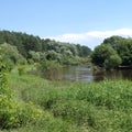 The forest river has very green juicy grassy banks