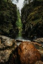 Forest and river of the Haslach gorge next to Wutach gorge in the black forest in Germany Royalty Free Stock Photo