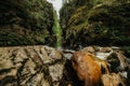 Forest and river of the Haslach gorge next to Wutach gorge in the black forest in Germany Royalty Free Stock Photo