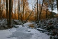 Forest river in ice in early spring Royalty Free Stock Photo