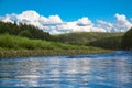 Forest river landscape Royalty Free Stock Photo