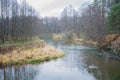 Forest river in late autumn. Forest autumn landscape Royalty Free Stock Photo