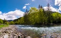 Forest river in mountains Royalty Free Stock Photo