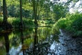 Forest river  Myadel District. Belarus Royalty Free Stock Photo