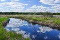 Forest River, overgrown with reeds. Reflection of the sky in water Royalty Free Stock Photo