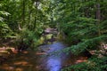 Peaceful Forest River Royalty Free Stock Photo