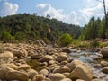 Forest river with rocky bed in nature Royalty Free Stock Photo