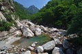 Forest river in Seoraksan, Korea