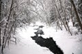 Forest river in a snow covered forest Royalty Free Stock Photo