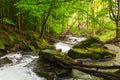 Forest river in spring. water flows among the mossy rocks Royalty Free Stock Photo