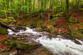 Forest river in spring. water flows among the mossy rocks. refreshing nature background Royalty Free Stock Photo