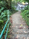 Forest river stairs in perspective. Outdoor stairs with iron fence and autumn leaves background. Stairs to climb around nature Royalty Free Stock Photo