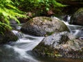 Forest river stream water slowly flow. Mossy river stream rocks. Mossy forest river stream view. Forrest river stream flow