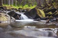 Forest river stream water slowly flow.