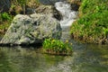 Forest river stream water slowly flow. Mossy river stream rocks. Mossy forest river stream view