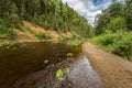 Forest river. Very clean and clear water in which grayling is caught.