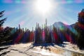 Forest and river view in Banff national park, Canada Royalty Free Stock Photo