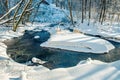 Forest river in winter Royalty Free Stock Photo