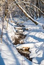 Forest river in winter Royalty Free Stock Photo