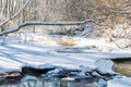 Forest river in winter Royalty Free Stock Photo