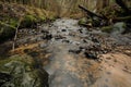 Forest rivulet in autumn with long exposure Royalty Free Stock Photo