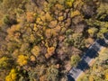 Forest road. Autumn colours. Aerial view from a drone. Rostov-on-Don. Russia. Royalty Free Stock Photo