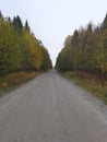 Forest Road.  Autumn forest.  Republic of Karelia Royalty Free Stock Photo