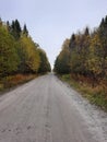 Forest Road.  Autumn forest.  Republic of Karelia Royalty Free Stock Photo