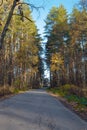 Forest road autumn sunny morning. Russia. Moscow region Royalty Free Stock Photo