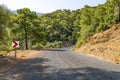 Forest road concealed by red pine forests and with a peaceful and untouched appearance in Dalyan.