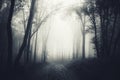 Forest road through the dark fog Royalty Free Stock Photo
