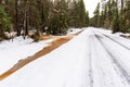 Forest road and ditch with yellow-brown water in snowy winter thaw day Royalty Free Stock Photo