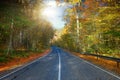 Forest road Royalty Free Stock Photo