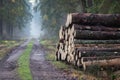 A forest road in fog and a pile of wood. Path leading through the forest in the morning