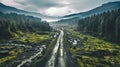 Forest road with green moss and grass in the mountains.