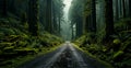 Forest road after heavy rain storm - AI generated image Royalty Free Stock Photo