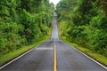 Forest road at Khaoyai National Park