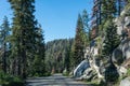 Forest Road in Kings Canyon and Sequoia National Park Royalty Free Stock Photo