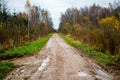 Forest road in late fall Royalty Free Stock Photo