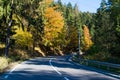 Forest road during late October. Royalty Free Stock Photo