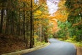 Forest road during late October. Royalty Free Stock Photo