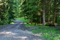 Forest road leading over a small clean mountain creek in the Carpathian mountains, Royalty Free Stock Photo