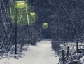 Forest road with lighted lampposts on a cold and snowy winter night Royalty Free Stock Photo