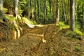 Forest road for lumber tractor in mountains Royalty Free Stock Photo