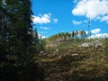 Forest road at mount Kolabod in Vasterbotten, Sweden Royalty Free Stock Photo