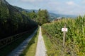 Forest road with prohibition sign no passage, written in german, german text translation: `no passage, on the right side a corn