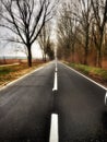 Forest Road on rainy day in February Royalty Free Stock Photo