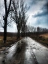 Forest Road on rainy day in February Royalty Free Stock Photo