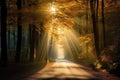Forest road and the rays of the sun shine through the autumn leaves of the trees Royalty Free Stock Photo
