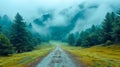 A forest with a road running through it and a mountains in the foggy background. Natural mountains and forest landscape